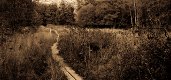 Laajalahden luonnonsuojelualue, Espoo, 2008