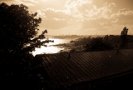 Länsi-Mustasaari, Helsinki, 2008